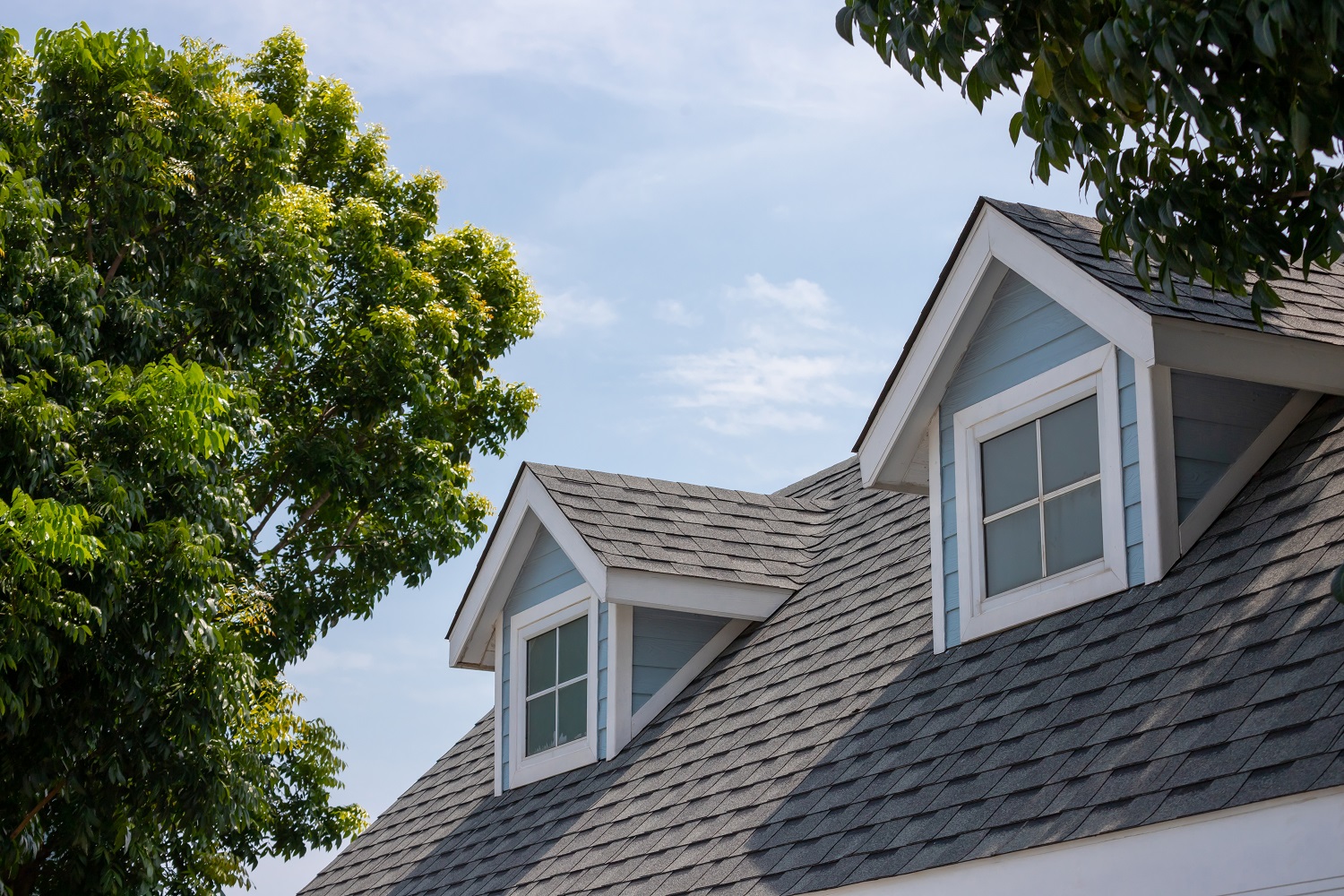 Premier Shingle Roof Replacement Service in San Diego